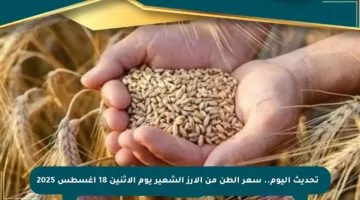 🔶 تحديث اليوم.. سعر الطن من الأرز الشعير يوم الإثنين 18 أغسطس 2025